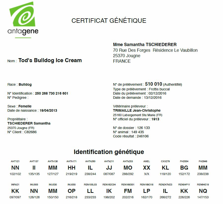 CERTIFICAT GENETIQUES