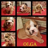 OLGA